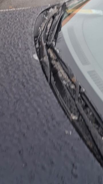 Вот так и едим.дождь и -4