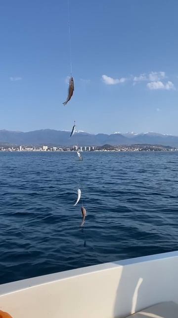 Морской дракон смотреть онлайн