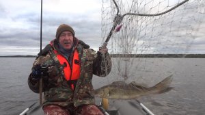 Озеро Пено 23 октября, конец сезона 2025