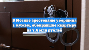 В Москве арестованы уборщица с мужем, обокравшие квартиру на 7,4 млн рублей
