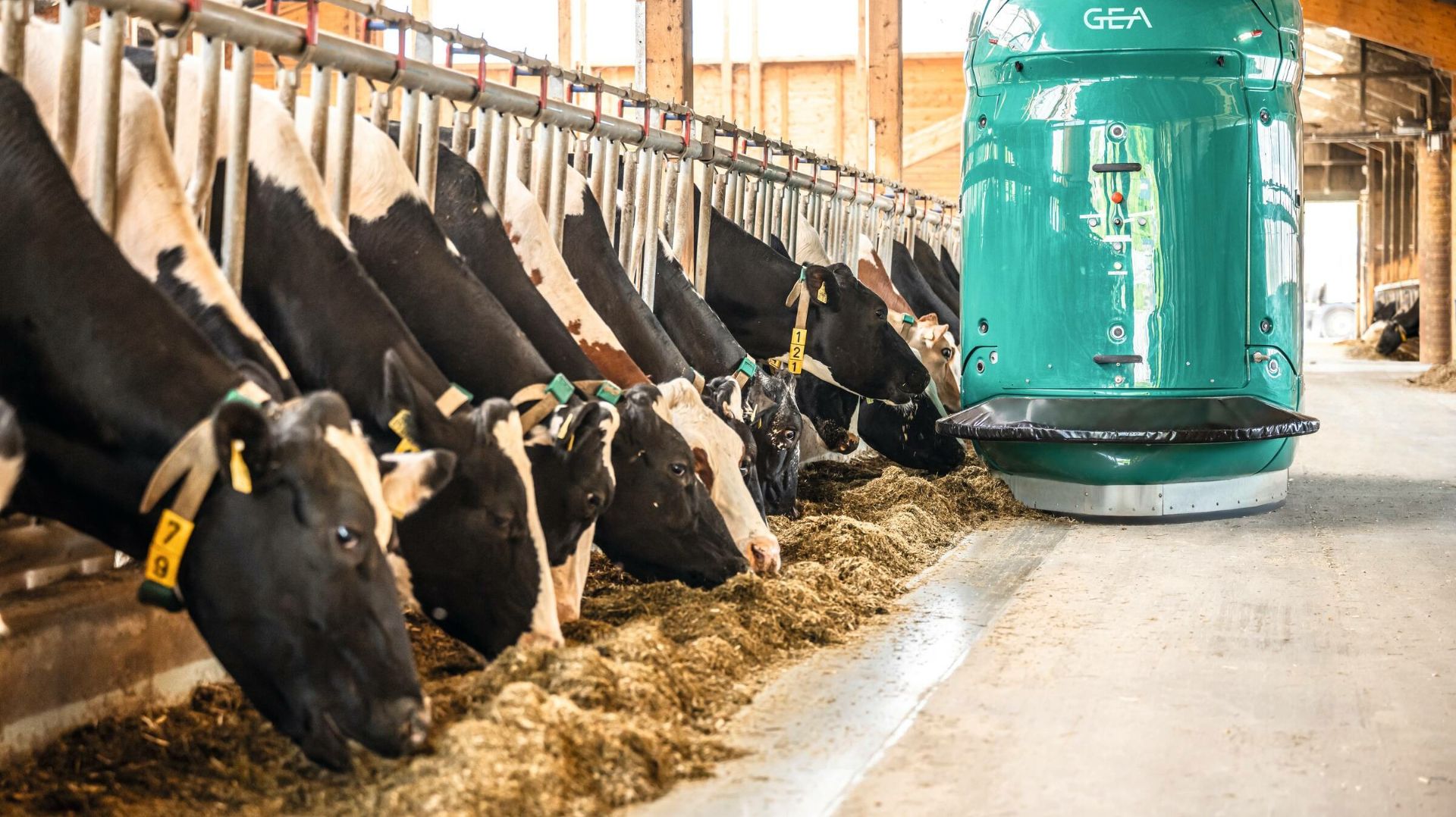 GEA DairyRobot R9500 х1