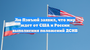 Лю Пэнъюй заявил, что мир ждет от США и России выполнения положений ДСНВ