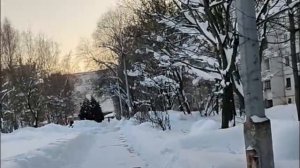 Герои рутуба и мультиков, про ёлочку и детей, деревья одни те же, короче бубнящий гуляющий Лёха