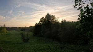 Прогулка по весенней природе