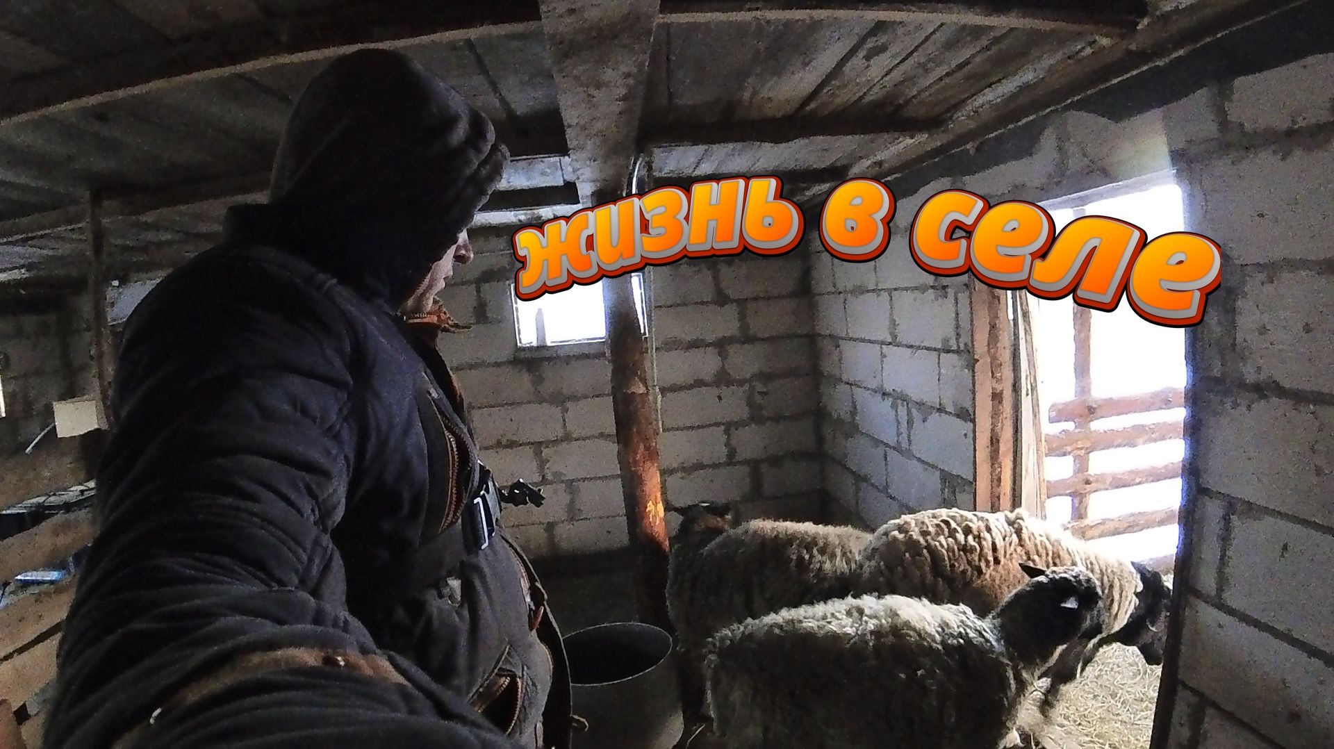 ШУМКА ГОТОВА !!! СКЛЕИЛ СТОЛЕШНИЦУ !! ЖИЗНЬ В СЕЛЕ