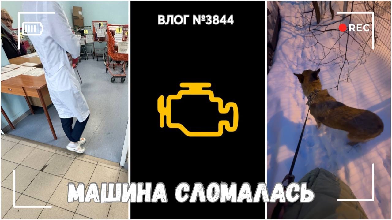 Машина сломалась | Отвезла коляску в больницу | Нашли потерянную собаку! - ВЛОГ №3844 - 03.02.26 смотреть онлайн