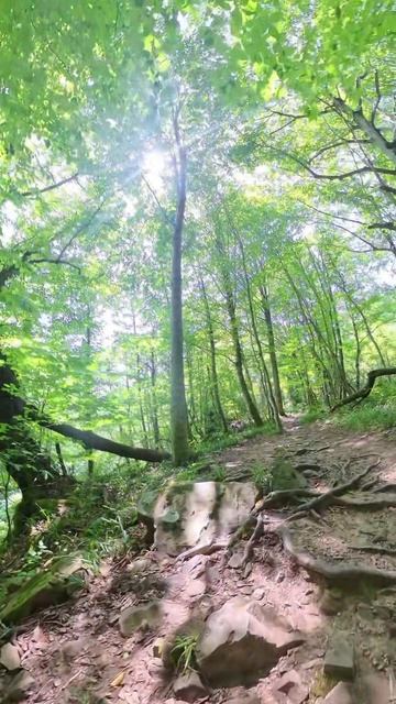 Свирское ущелье. Лазаревское. Сочи. Август 2025. INSTA360 X5. Ч34. смотреть онлайн