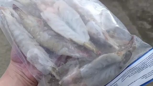 Креветка бабочка