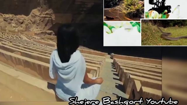 Боевой танец кобры. 4th kopola — Cobra. 5я ступень Туран йоги — Пратьяхара.