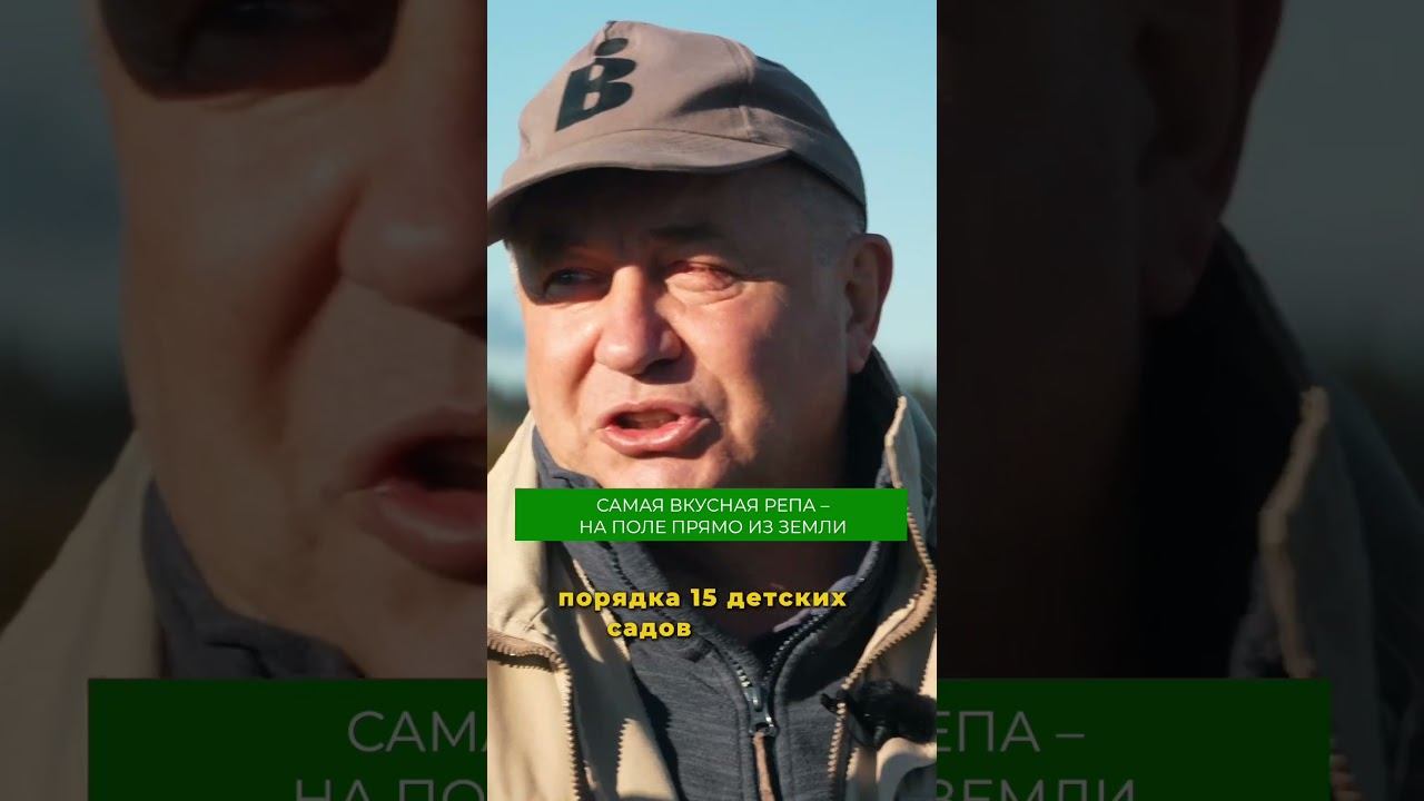 А вы любите репу? #репа #ферма #овощеводство #овощи #фермер #свояеда смотреть онлайн