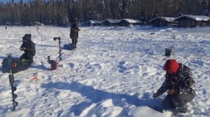 Видеосюжет с водоема.