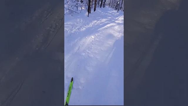 Лыжная жизнь 🙂(03.02.26). Солнце и мороз февраль нам сразу преподнёс. Такую погоду упускать нельзя