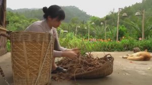 Сбор чеснока, имбиря, помидоров и овощей. Готовим вкусный томатный соус. Жизнь во Вьетнаме