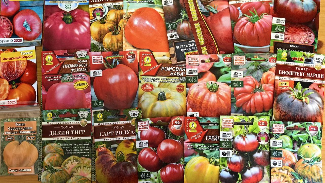 Обзор Семян Томатов на 2026