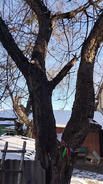 Удар 4 февраля смотреть онлайн