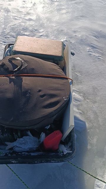 Куршский залив 4 февраля смотреть онлайн