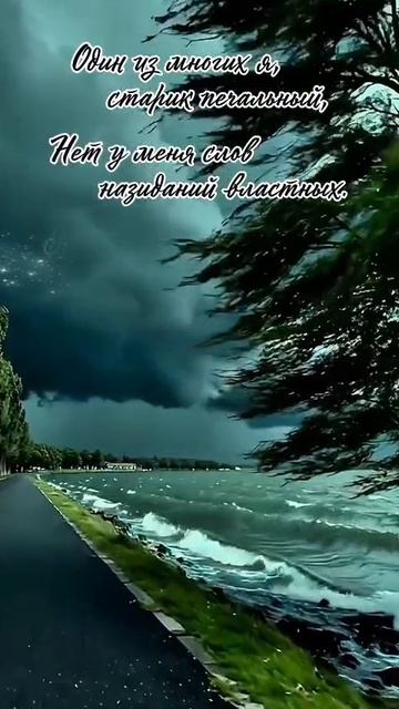 "Один из многих я…" А.М.Момынов, стих 87,  #поэзия #стихиожизни #музыка