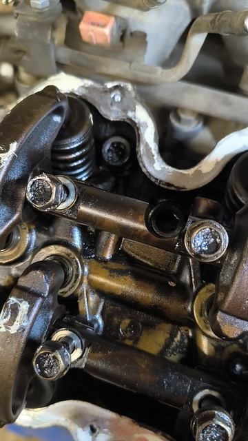 безумство белого герметика