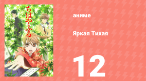 Яркая Тихая 1 сезон 12 серия (аниме-сериал, 2011)