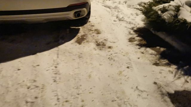 Кутёнок пёс и огромная куча снега