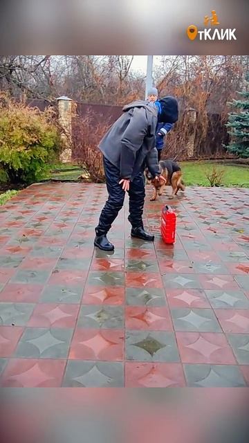 Хозяину — владеть своей агрессией.