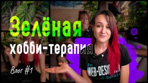 Моя ЗЕЛЕНАЯ ХОББИ-ТЕРАПИЯ или январский влог с растениями