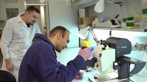 Объявлены лауреаты премии президента в области науки и инноваций для молодых ученых.