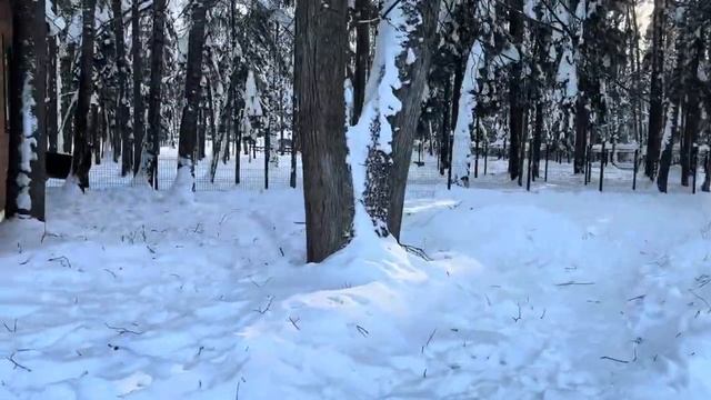 Загородный отдых в Les Art: еда, сервис и территория отеля Все Включено в Подмосковье смотреть онлайн