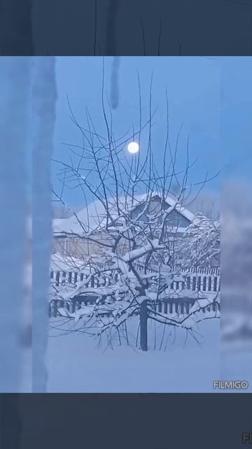 Зима во всей красе 🥶