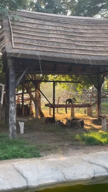 Видео из Дубая смотреть онлайн