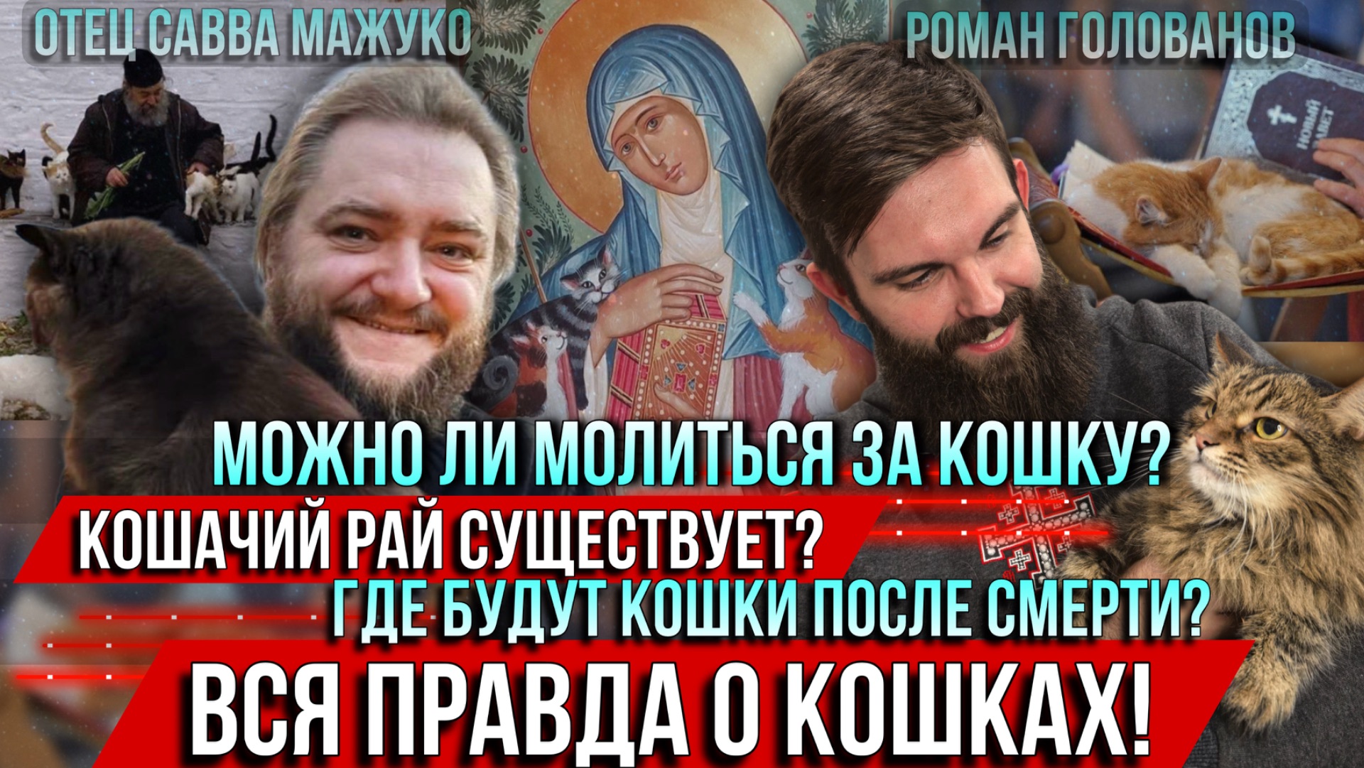 ❗️Можно ли молиться за кошку? Кошачий рай существует? Где будут кошки после смерти? смотреть онлайн