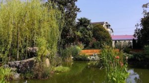 Сквер Венчагова -маленький оазис в центре Сочи