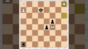 Ладейные окончания_ покажу как выиграть с 1 пешкой против 2 пешек