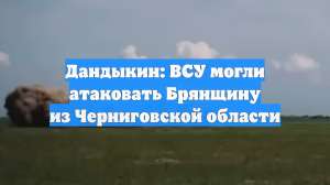 Дандыкин: ВСУ могли атаковать Брянщину из Черниговской области