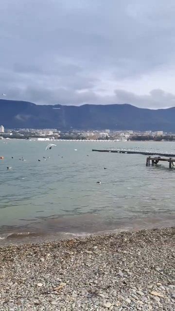 #геленджик #февраль2026