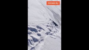 Буду бегать в другом месте — хабаровчанин снова вытащил провалившегося человека