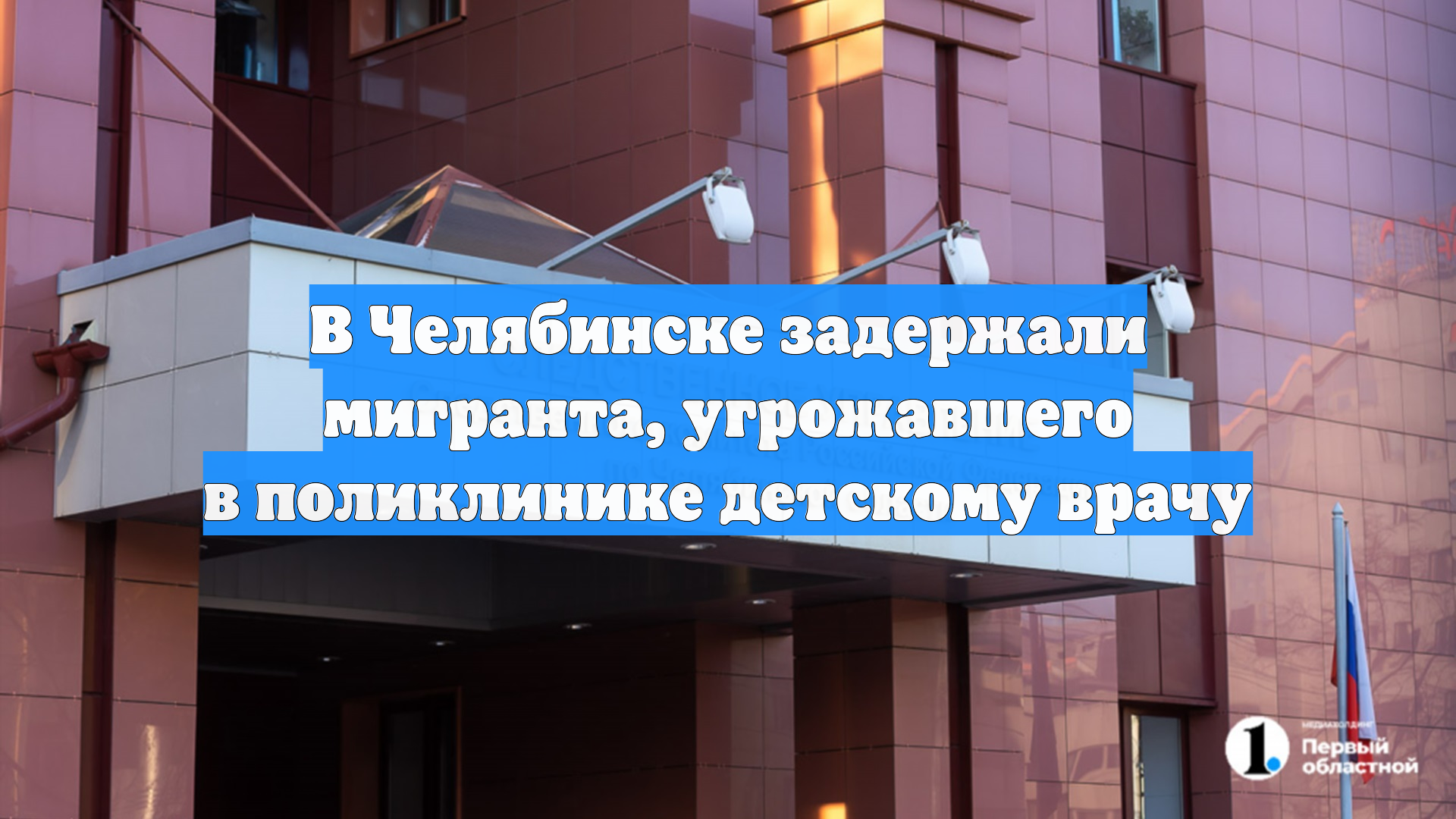 В Челябинске задержали мигранта, угрожавшего в поликлинике детскому врачу смотреть онлайн