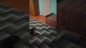 У нас опять мороз!