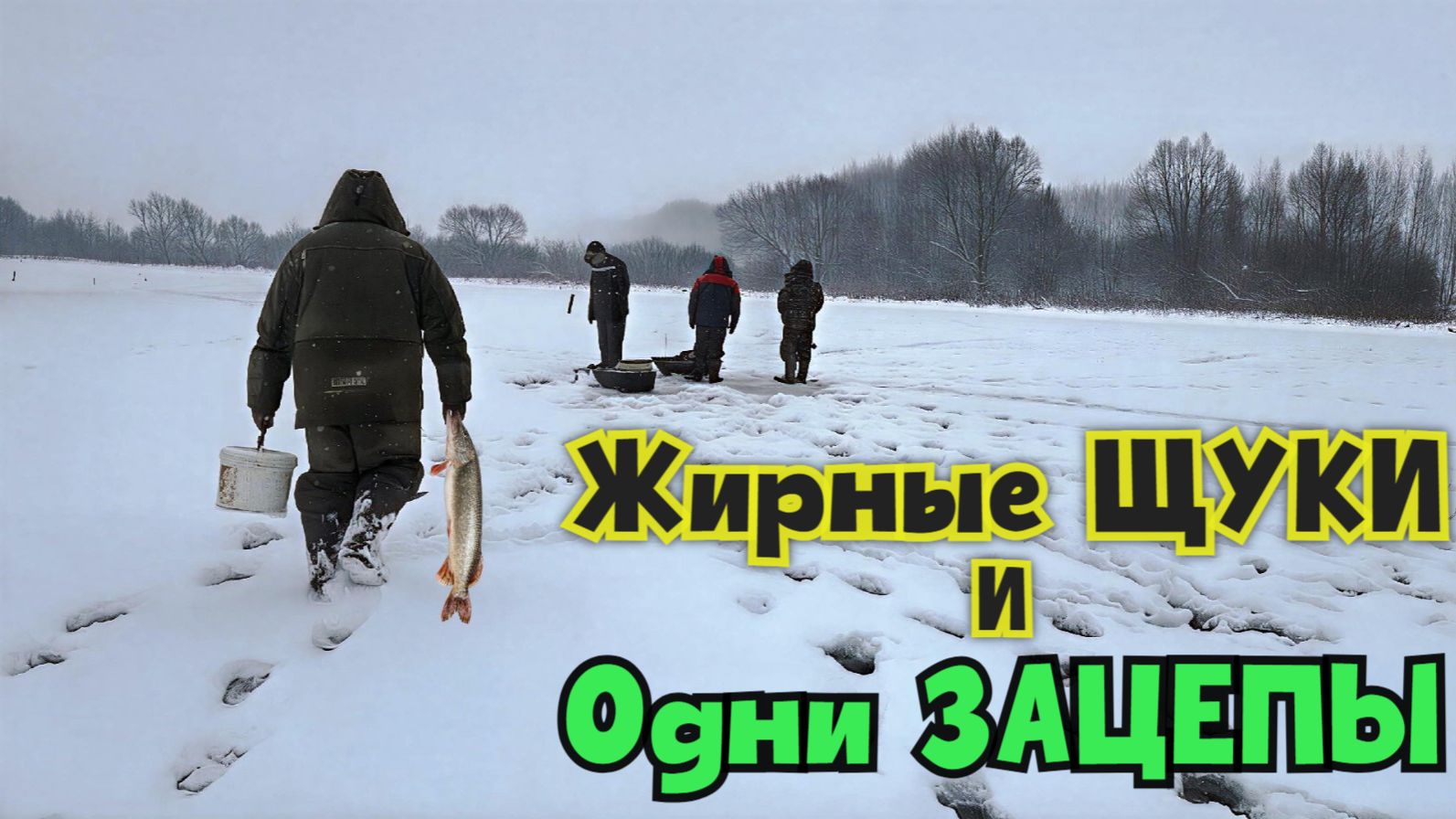 Надёргал жирных щук и словил кучу Зацепов на Зимней РЫБАЛКЕ! Жерлицы-2026. Михалыч на тайном пруду! смотреть онлайн