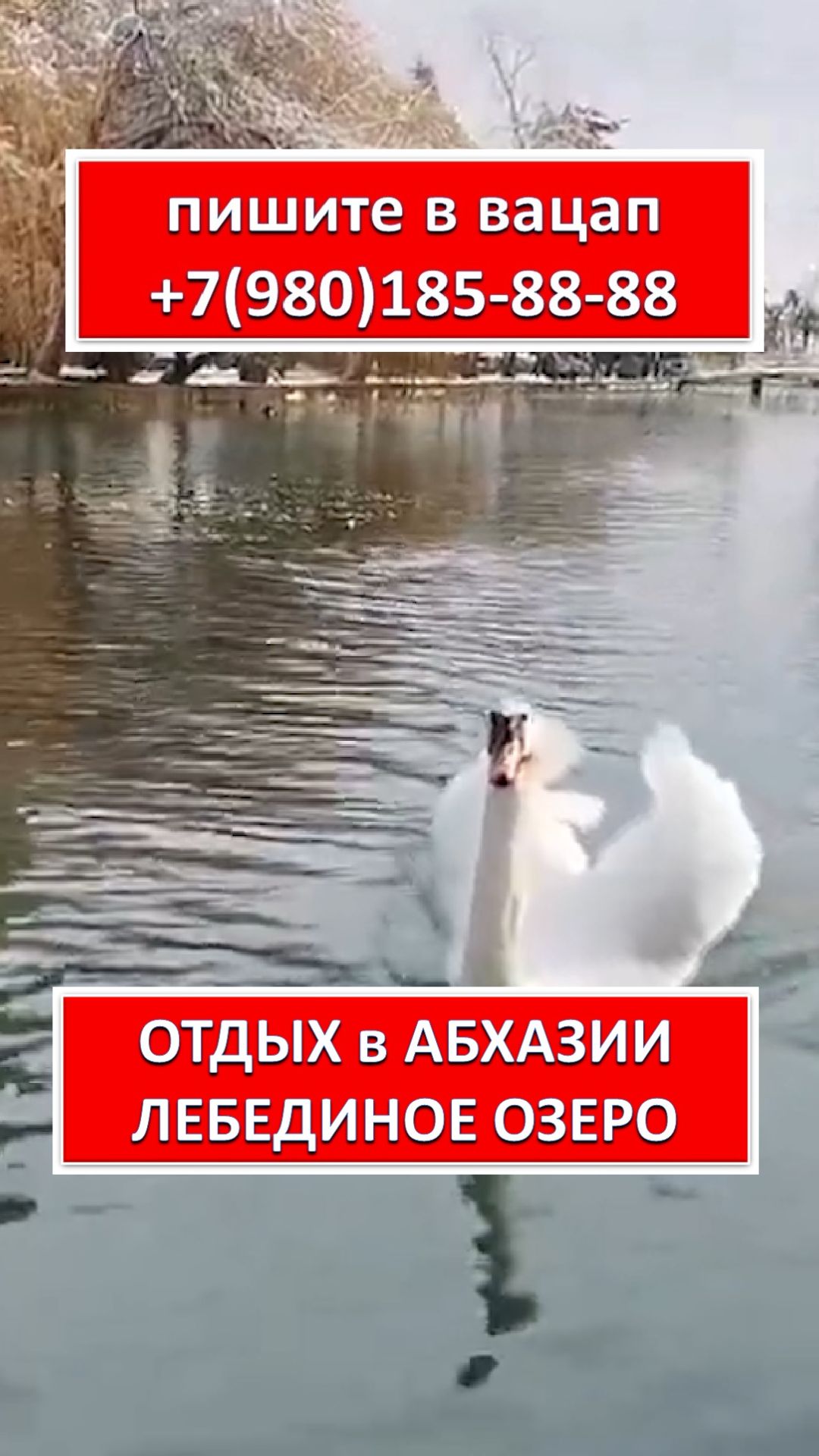 ОТДЫХ в АБХАЗИИ. ЛЕБЕДИНОЕ ОЗЕРО