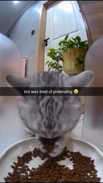 Нет сил моих больше притворяться