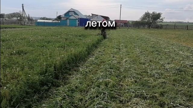 «Зимняя диета скота: секреты кормления сеном в России и советы от зарубежных фермеров» «Зимняя диета скота: секреты кормления сеном в России и советы от зарубежных фермеров»