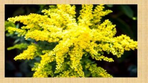 ФОТОГАЛЕРЕЯ. СЕЗОН 2