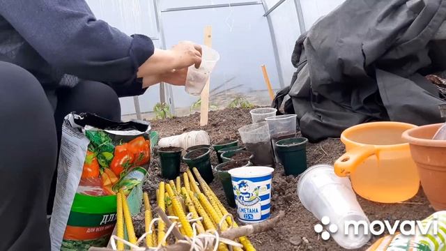 22-24.03.24. Опять цветы. Посев огурцов. Растишки просыпаются. смотреть онлайн