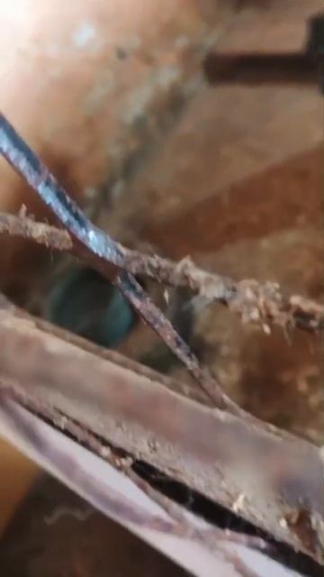 Уфа, Башкирия
Мы кричим 🆘🆘🆘🆘🆘🆘
Россия, откликнись 🙏
Смертники в башкирском отлове😭😭
Помоги смотреть онлайн