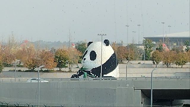 Нас провожает Панда! смотреть онлайн