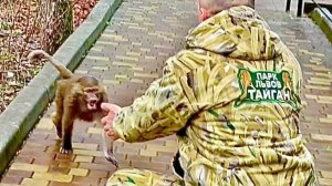 Первая встреча Дениса после голодовки и Степы СОСТОЯЛАСЬ!