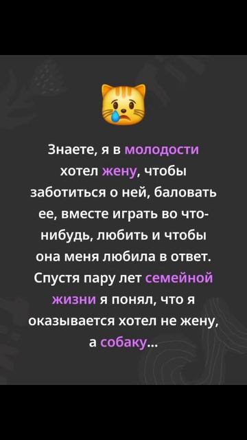 Юмор смотреть онлайн