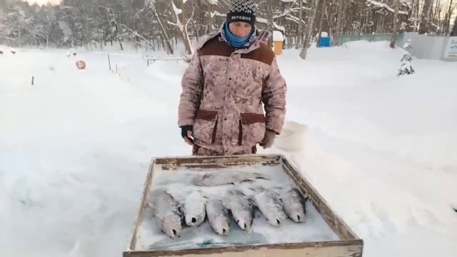 04.02.26 г. РК Волна. смотреть онлайн
