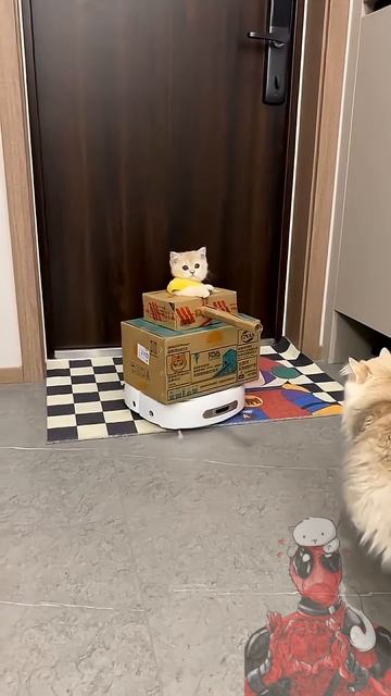 Как же мне с тобою повезло 😼🫶😎 Как же мне с тобою повезло 😼🫶😎